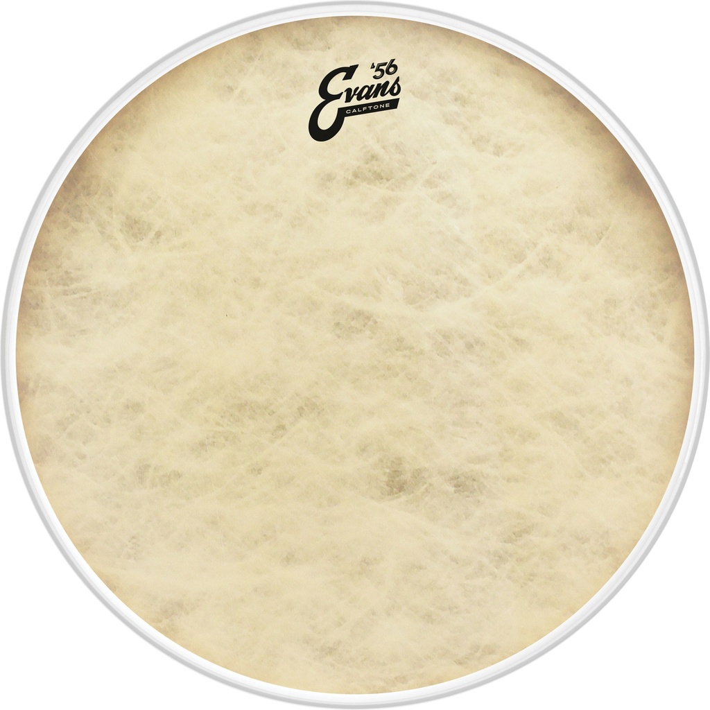 [BD16CT] Evans 16" '56 Calftone Bass Head