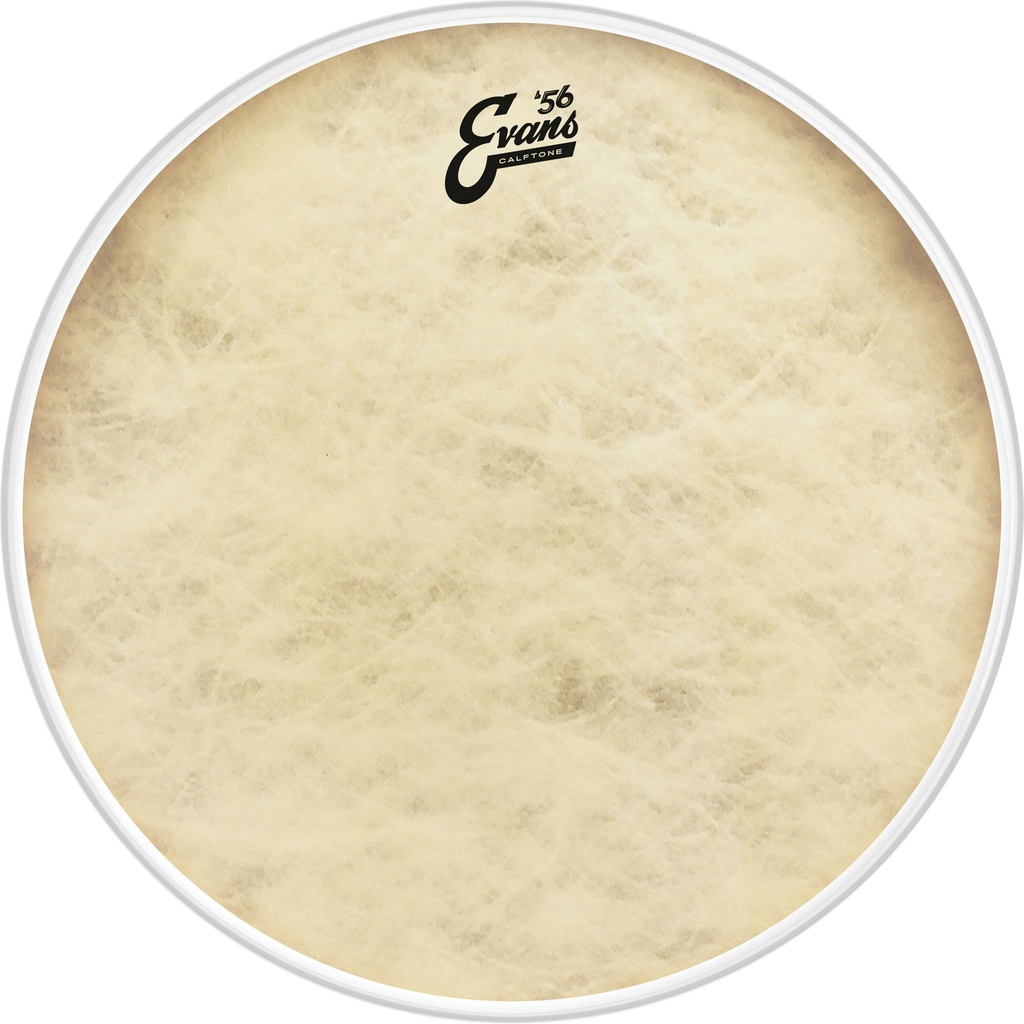 Evans 24" '56 Calftone Bass Head