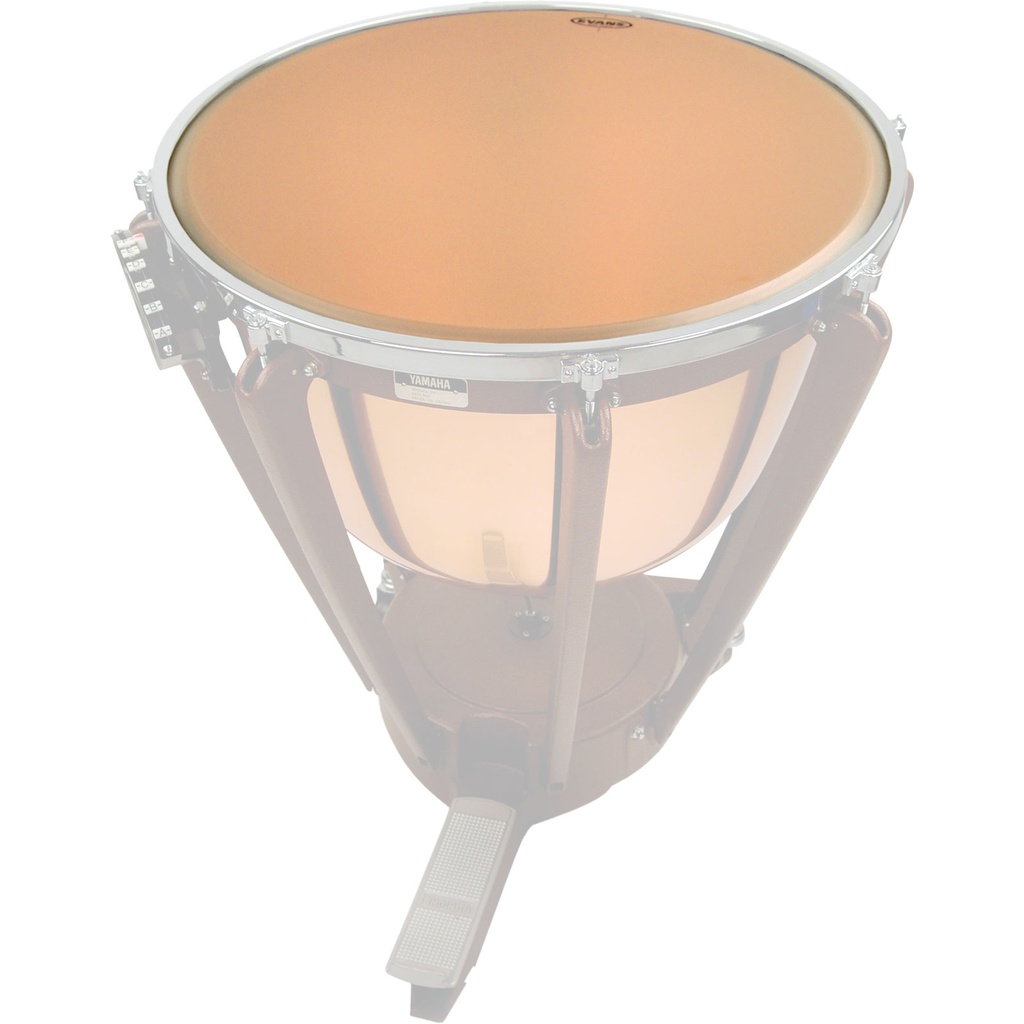Evans 30" Strata Timpani Head