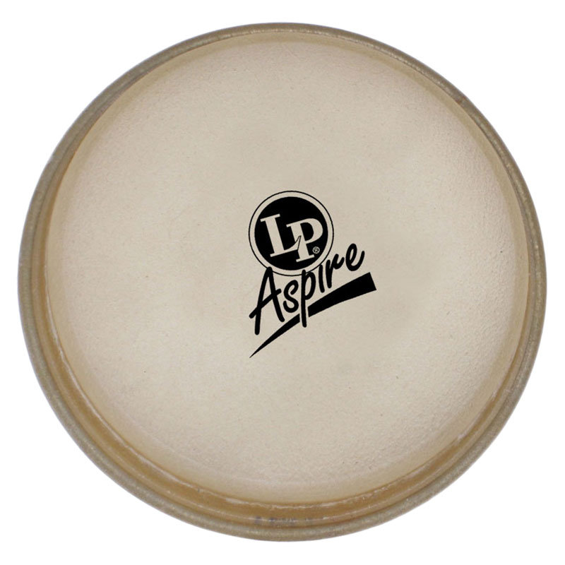 [LPA640A] LP 10" Aspire Quinto Head Rawhide
