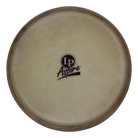 [LPA663B] LP 8" Aspire Bongo Head