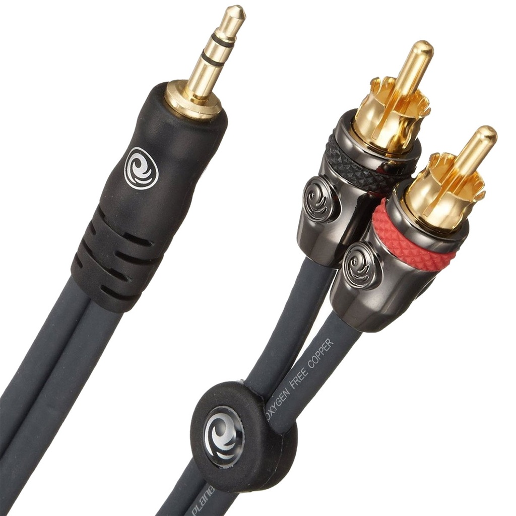 [PW-MP-05] Planet Waves 5' Dual RCA to Male 1/8" Stereo Cable